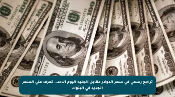 تراجع رسمي في سعر الدولار مقابل الجنيه اليوم الأحد.. تعرف على السعر الجديد في البنوك